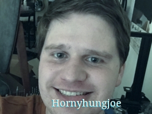 Hornyhungjoe