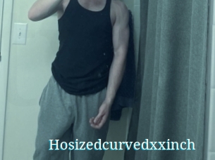 Hosizedcurvedxxinch