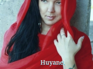 Huyanet