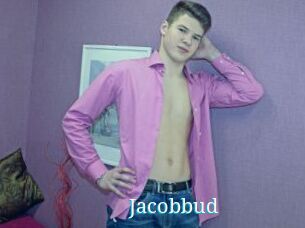 Jacobbud