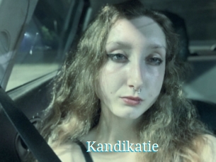 Kandikatie