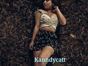 Kanndycatt