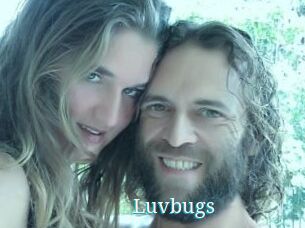 Luvbugs