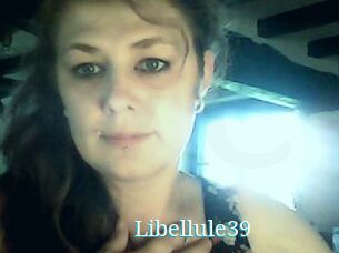 Libellule39