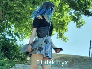 Littlekittyx