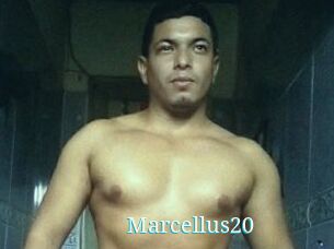 Marcellus20