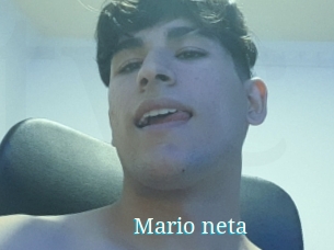 Mario_neta