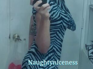 Naughtyniceness