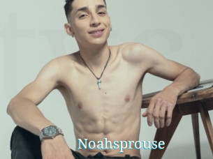 Noahsprouse