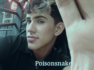 Poisonsnake