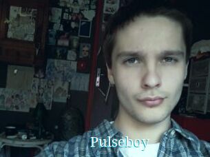 pulseboy The voyeurs club