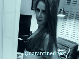 Quarantined_fox