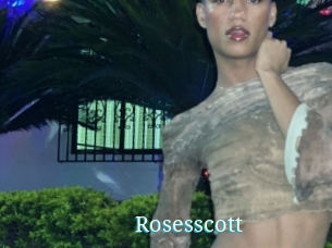 Rosesscott