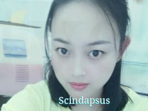 Scindapsus