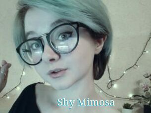 Shy_Mimosa