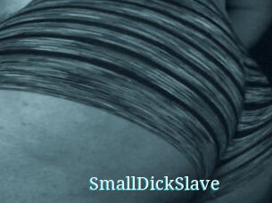 SmallDickSlave