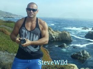 Steve_Wild