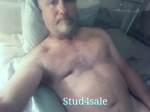 Stud4sale