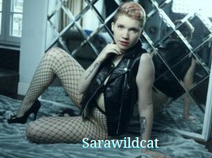 Sarawildcat