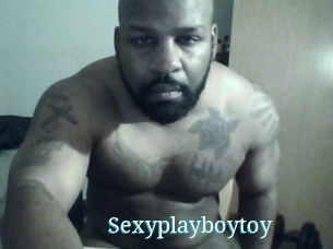 Sexyplayboytoy