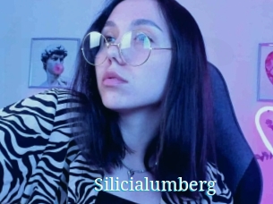 Silicialumberg