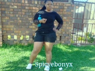 Spicyebonyx