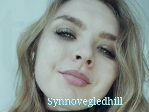 Synnovegledhill