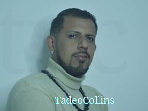 TadeoCollins