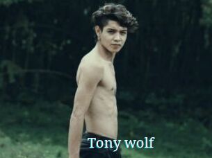 Tony_wolf