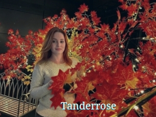 Tanderrose