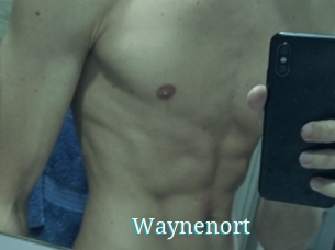 Waynenort