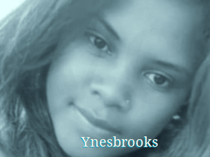 Ynesbrooks