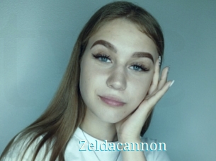 Zeldacannon